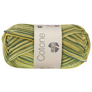 Lana Grossa COTONE  Print/Spray/Mouliné | 367-бело-зелёный/киви-зелёный/опалово-зелёный/патиново-зелёный