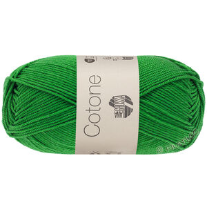 Lana Grossa COTONE | 135-мятный