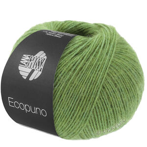 Lana Grossa ECOPUNO | 225-грушево-зелёный