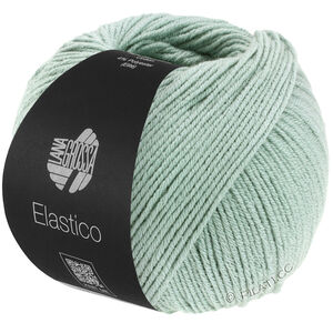 Lana Grossa ELASTICO | 120-серо-зелёный