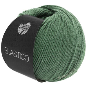 Lana Grossa ELASTICO | 141-резедово-зелёный