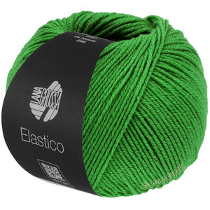 Lana Grossa ELASTICO | 189-майская зелень