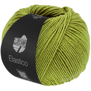 Lana Grossa ELASTICO | 202-фисташковый