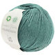 Lana Grossa FOURSEASON (Linea Pura) | 06-светлый сине-голубой
