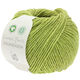 Lana Grossa FOURSEASON (Linea Pura) | 40-светло-оливковый
