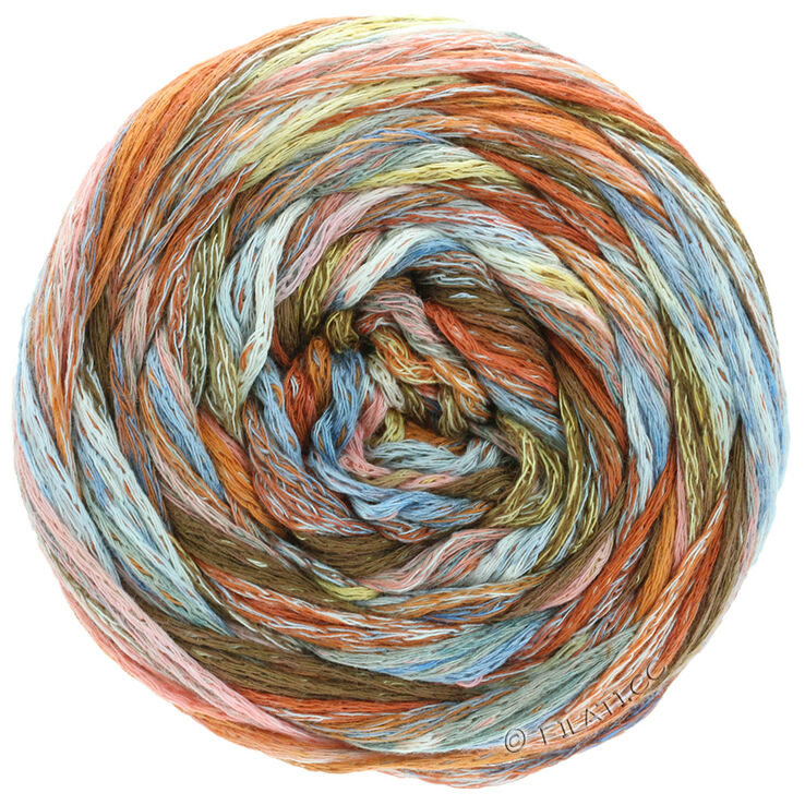 Lana Grossa GOMITOLO PAZZO | 811-коричневый/синий/серый многоцветный