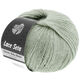 Lana Grossa LACE SETA | 17-зелёно-серый