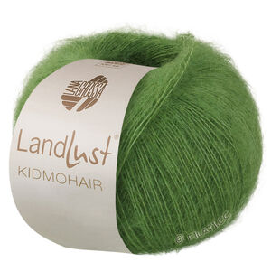 Lana Grossa LANDLUST KIDMOHAIR | 04-зелёный