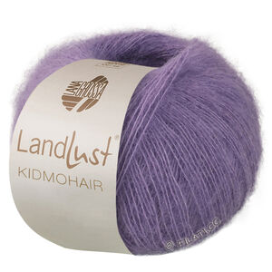 Lana Grossa LANDLUST KIDMOHAIR | 13-серо-фиолетовый