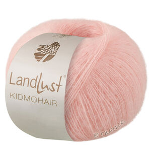 Lana Grossa LANDLUST KIDMOHAIR | 16-нежно-розовый