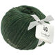 Lana Grossa LANDLUST MERINO 120 | 115-мшисто-зелёный