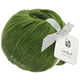 Lana Grossa LANDLUST MERINO 120 | 117-зелёный