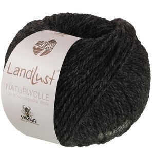 Lana Grossa LANDLUST Naturwolle | 10-антрацитовый