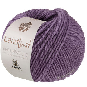 Lana Grossa LANDLUST Naturwolle | 24-фиолетовый