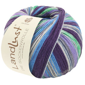 LANDLUST DIE SOCKENWOLLE 150g 6-Ply от Lana Grossa