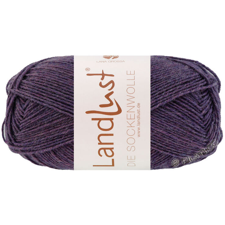 Lana Grossa LANDLUST DIE SOCKENWOLLE 50g Mélange | 1601-тёмно-фиолетовый меланжевый
