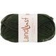 Lana Grossa LANDLUST DIE SOCKENWOLLE 50g Mélange | 1610-чёрно-зелёный меланжевый