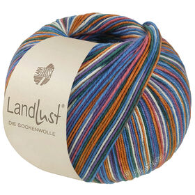 LANDLUST DIE SOCKENWOLLE SEIDE PRINT от Lana Grossa