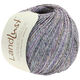 Lana Grossa LANDLUST SOMMERSEIDE Mélange | 103-антрацитовый/пурпурный/петрольный