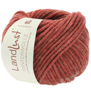 Lana Grossa LANDLUST WINTERWOLLE | 16-терракотовый меланжевый