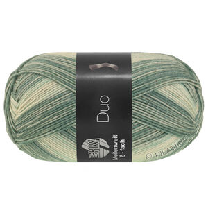 Lana Grossa MEILENWEIT 6-FACH 150g Duo | 9725-зелёно-серый/светло-серый