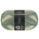 Lana Grossa MEILENWEIT 6-FACH 150g Duo | 9725-зелёно-серый/светло-серый