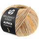 Lana Grossa MEILENWEIT 100g Alpaca Poncho | 2726-песочно-бежевый/серо-коричневый/коричневый/светло-бежевый/карамель