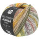 Lana Grossa MEILENWEIT 100g Alpaca Print | 2101-