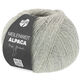 Lana Grossa MEILENWEIT 100g Alpaca | 2013-серый камень