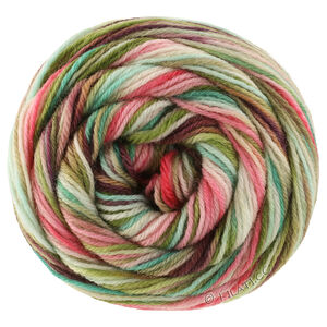 Lana Grossa MEILENWEIT 100g Cascata | 5205-кофе мокко/тёмно-коричневый/серо-коричневый/розовый/нежно-зелёный/липово-зелёный/серо-зелёный/нефрит/ярко-розовый/бирюзовый