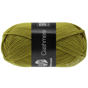 Lana Grossa MEILENWEIT 50g Cashmere | 73-киви