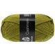 Lana Grossa MEILENWEIT 50g Cashmere | 73-киви