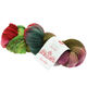 Lana Grossa MEILENWEIT 100g Merino Hand-dyed | 307-зелёный/тёмно-красный/чёрно-зелёный/коричневый/красно-фиолетовый