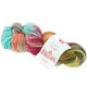 Lana Grossa MEILENWEIT 100g Merino Hand-dyed | 407-бирюзовый/серый/красная фиалка/терракотовый/мягко-желтый/грязь