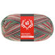 Lana Grossa MEILENWEIT 100g Merino Christmas | 6807-белый/тёмно-зелёный/тёмно-коричневый/оранжевый/светло-зелёный