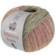 Lana Grossa MEILENWEIT 100g Merino Extrafine Shades | 7232-пастельно-зелёный/серо-зелёный/светло-бежевый/бежевый/ярко-розовый