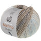 Lana Grossa MEILENWEIT 100g Merino Extrafine Shades | 7234-мята/светло-серый/тёмно-серый/серо-коричневый