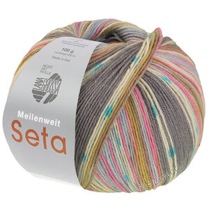 Lana Grossa MEILENWEIT 100g Seta Giappone | 3388-серый/цвет экрю/бирюзовый/фисташковый/пастельно-голубой/серо-коричневый/гвоздично-розовый