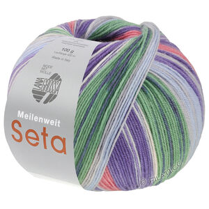 Lana Grossa MEILENWEIT 100g Seta Hokkaido | 3585-вереск/светло-серый/сине-фиолетовый/голубой/нефрит/тёмно-серый/белый