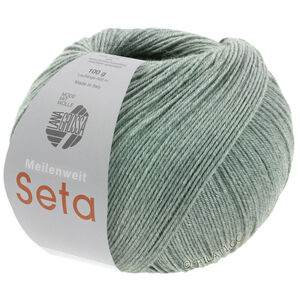 Lana Grossa MEILENWEIT 100g Seta | 14-серый