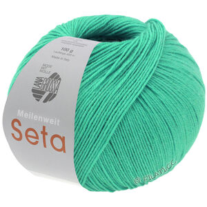 Lana Grossa MEILENWEIT 100g Seta | 41-бирюзовый нефрит