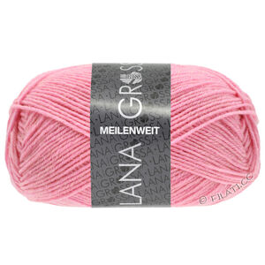 Lana Grossa MEILENWEIT 50g | 1388-гвоздичный