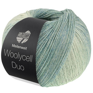 Lana Grossa MEILENWEIT 100g Woolycell Duo | 6007-шалфейный/сенно-зелёный/пастельно-зелёный