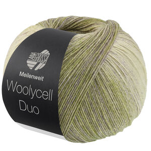 Lana Grossa MEILENWEIT 100g Woolycell Duo | 6008-оливковый/серо-зелёный/серо-бежевый