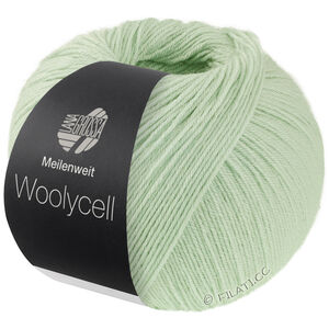 Lana Grossa MEILENWEIT 100g Woolycell | 06-бело-зелёный