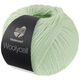 Lana Grossa MEILENWEIT 100g Woolycell | 06-бело-зелёный