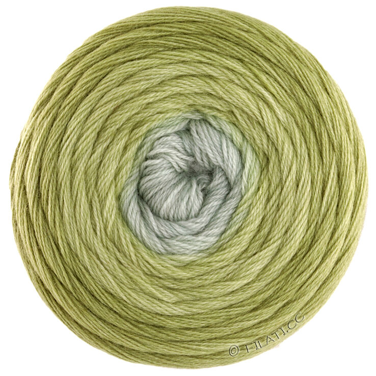 Lana Grossa MERINO LACE AQUARELL | 01-оливковый/светло-оливковый/зелёно-серый