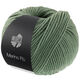Lana Grossa MERINO PIÙ | 04-олеандрово-зелёный