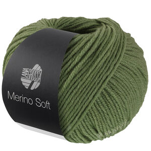 Lana Grossa MERINO SOFT | 17-зелёный
