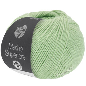 Lana Grossa MERINO SUPERIORE | 49-бело-зелёный
